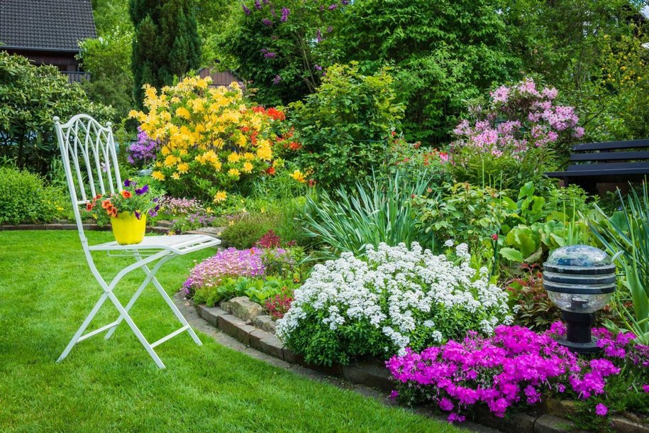Клумба з квітами в ландшафті саду, фото