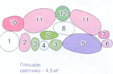 квітник зображення 19 (схема)