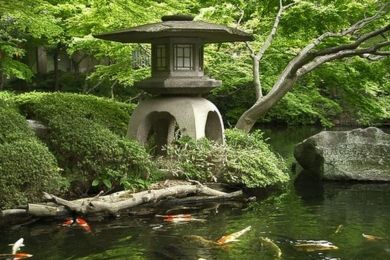 Японський сад зображення 17
