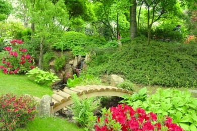 Японський сад зображення 21