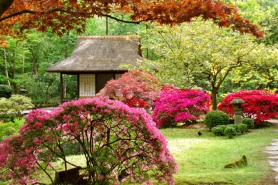 Японський сад зображення 22