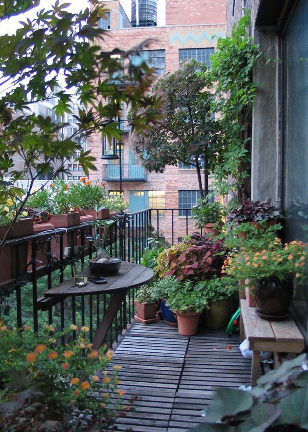 Balcony gardening. Сад на балконе. Озеленение балкона. Растения на балконе. Озеленение маленького балкона.