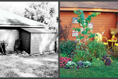 Ландшафтний дизайн подвір'я - до і після, фото 12