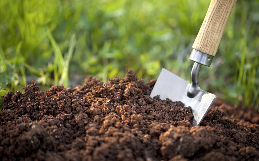 Як розкислити ґрунт? 4 простих способи
