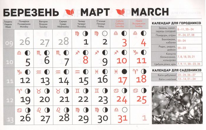Посівний календар на березень 2018 року фото