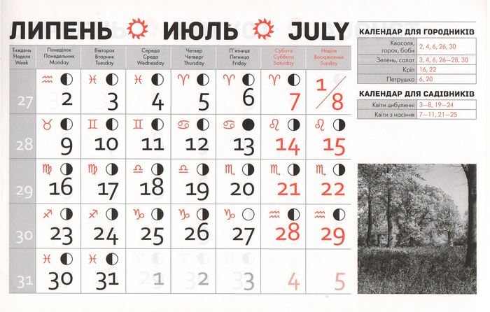 Посівний календар на липень 2018 року фото