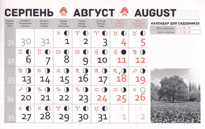 Посівний календар на серпень 2018 року фото