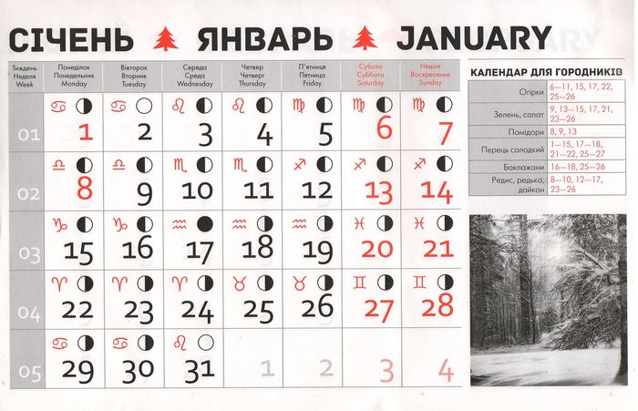 Посівний календар на січень 2018 року фото