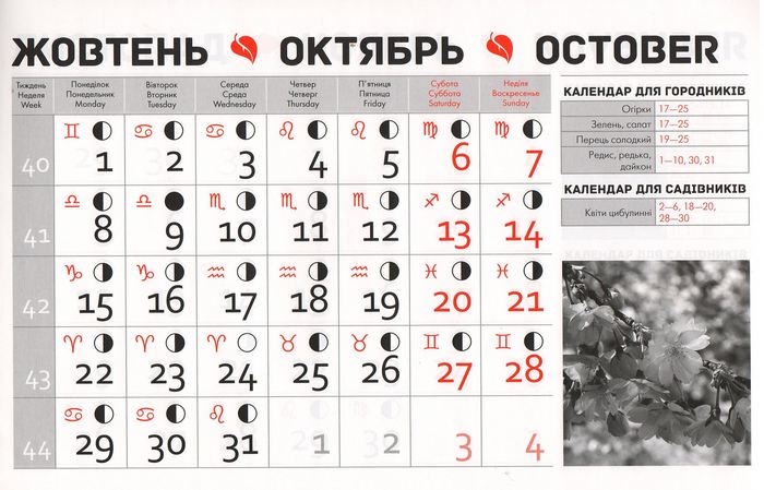 Посівний календар на жовтень 2018 року фото