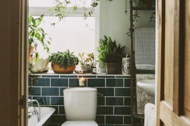 Завдяки рослинам ванна кімната може стати справжнім оазисом!