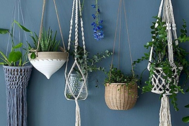 Підвісити рослини можна на стіни