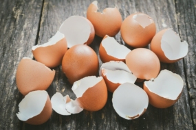 Яєчна шкаралупа — ваш незамінний помічник в саду і на городі
