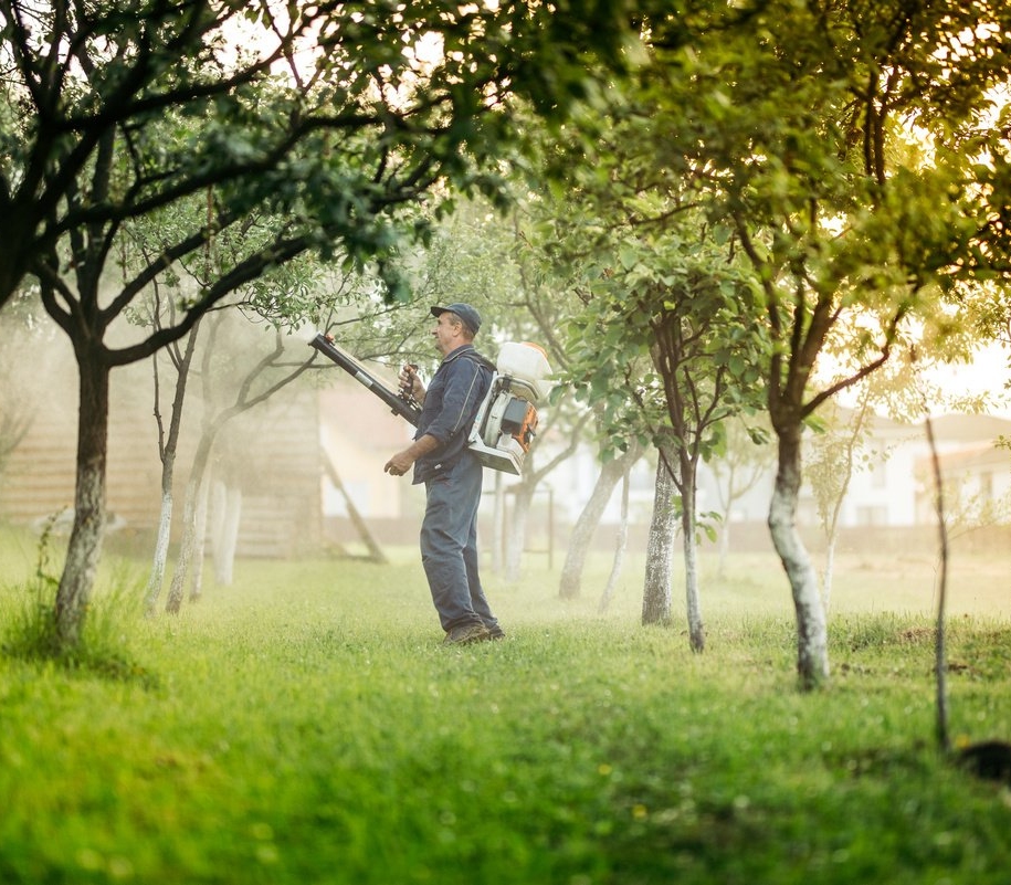4 обов’язкових весняних обробки саду від хвороб та шкідників