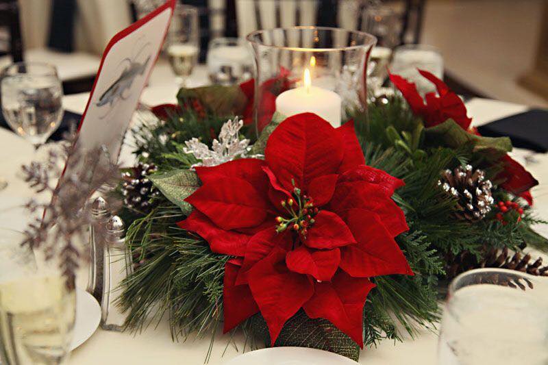 Пуансетія може стати прикрасою святкового столу або грати навіть роль ялинки під час новорічних свят