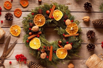 Сайт про дім, сад, город без турбот