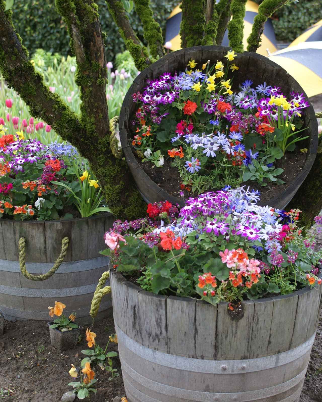 Идеи клумб для цветов своими руками. Оригинальные клумбы. Необычные клумбы в саду. Дачные цветочные клумбы. Украсить сад цветами.