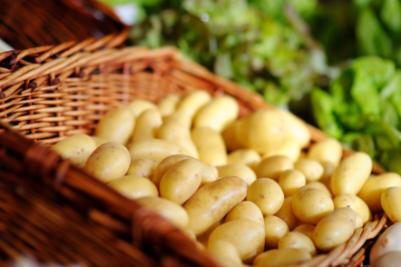 10 найкращих сортів картоплі — рейтинг читачів Зеленої садиби