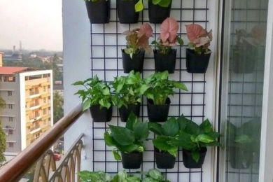 Вертикальний сад на балконі