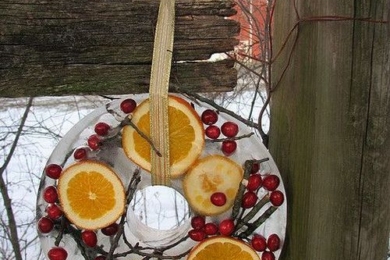 Новорічний декор з льоду для вашого саду