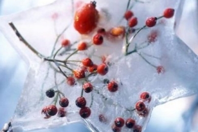 Новорічний декор з льоду для вашого саду
