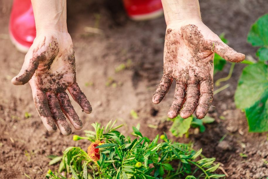 Експрес-методи по догляду за руками — поради садівника 