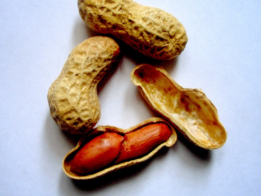 Сіяти варто лише свіже насіння арахісу врожаю попереднього року