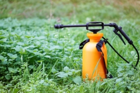 Хімічні засоби захисту рослин — шпаргалка по пестицидах