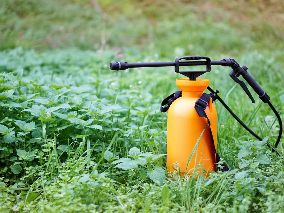 Хімічні засоби захисту рослин — шпаргалка по пестицидах
