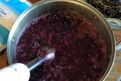 Трохи перебиваємо виноград блендером, щоб пустив сік