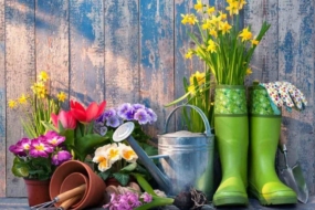 Посівний календар садівника на квітень 2022