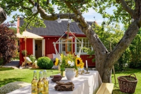 Дачний будинок в Швеції — екскурсія домом і садом