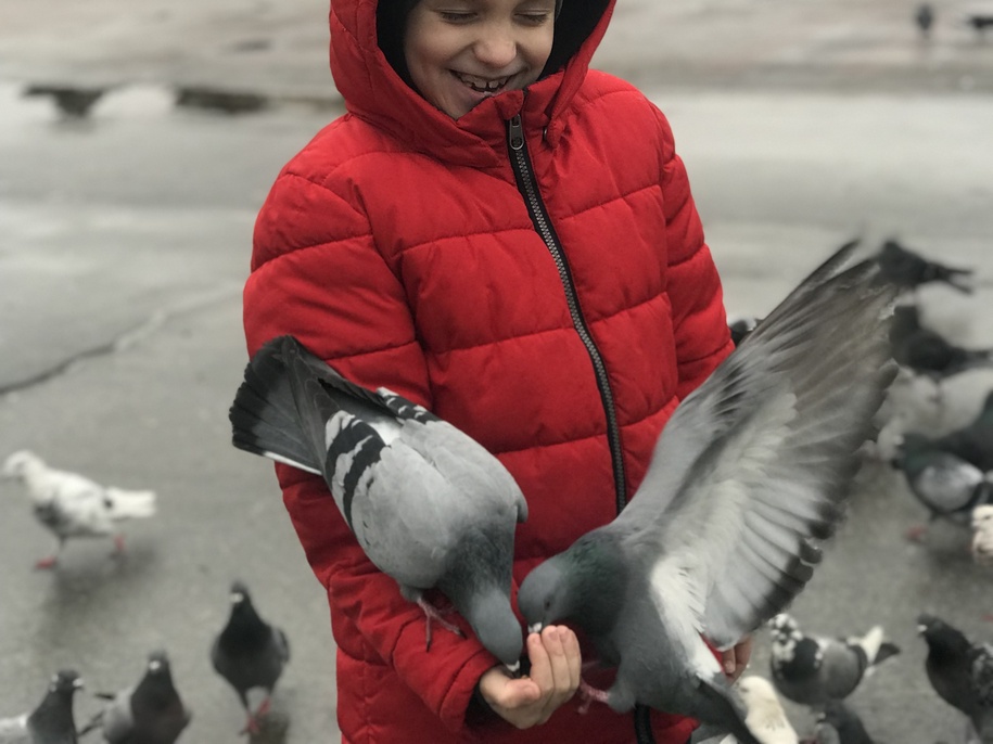 Хлопчик годує птахів