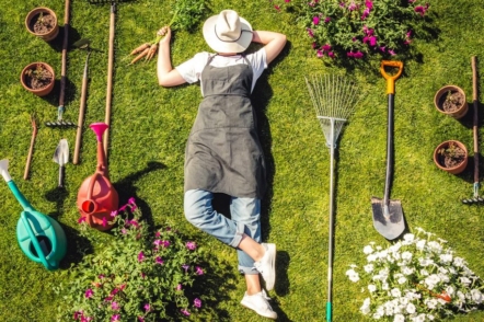 15 найпоширеніших помилок садівників-початківців
