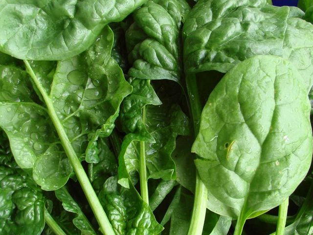 Шпинат — корисна зелень для салатів