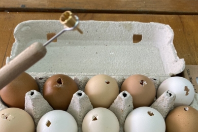 Видуті яйця для писанок і писачок