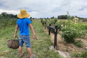 Народження садівника — глава з рукопису «Чай з чорнобривцями»