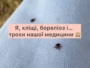 Коріандр, або кінза — як вирощувати і використовувати?