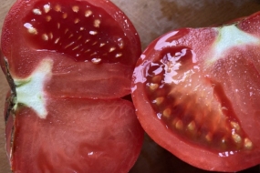 Як зібрати насіння з помідора