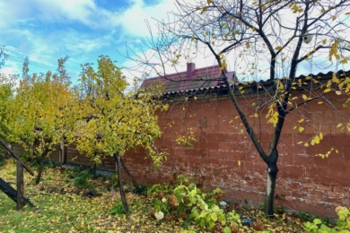 Біофунгіциди та безпечні контактні препарати: як зробити сад екологічнішим