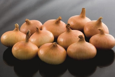 Цибуля «Штутгартер Стенфілд»