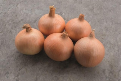 Цибуля «Центуріон» 