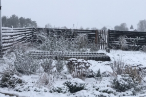 Посівний календар на січень 2026