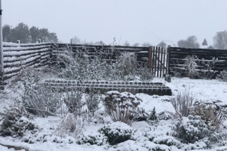 Посівний календар на січень 2026