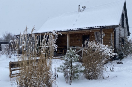 Посівний календар на лютий 2026