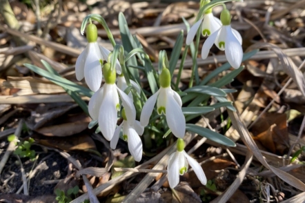 Посівний календар на березень 2026 