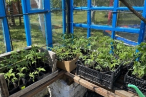 Посівний календар на квітень 2026