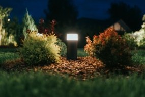 Нічні мешканці саду: корисні (і як їх привабити) та шкідники. © Stefan Hiienurm